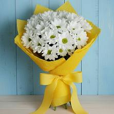 Букет цветов из:  Хризантемы в Вардане