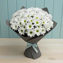 Букет цветов из:  Хризантемы в Вардане
