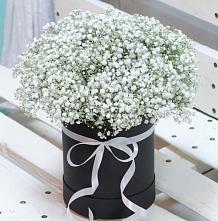 Цветочная композиция из Гипсофила в шляпной коробке #REPLACE_PRED# Вардане