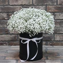 Цветочная композиция из Гипсофила в шляпной коробке #REPLACE_PRED# Вардане