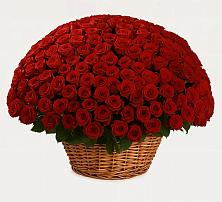 Премиум букет из: Розы в Вардане