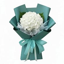 Букет цветов из:  Гортензия в Вардане